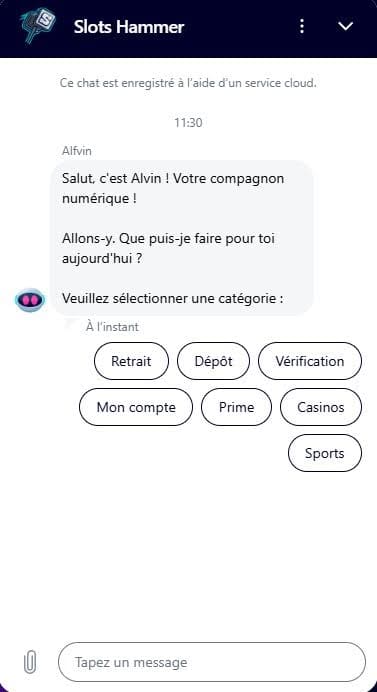 Slots Hammer Casino support client